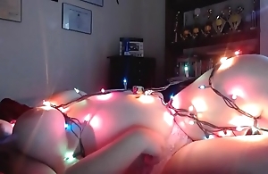 Big tolerant hangs out on touching christmas lights