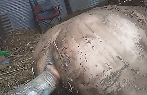 Filthy Farmboy Plays Rough prevalent the Mud with a Thick Dildo